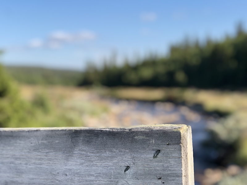 HHG - Stille snart